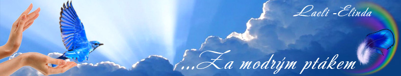 Banner profilu