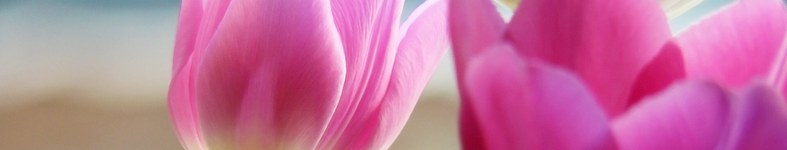 Banner profilu