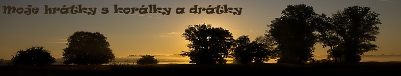 Banner profilu