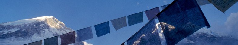 Banner profilu