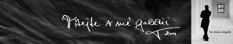 Banner profilu