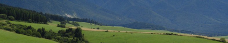 Banner profilu