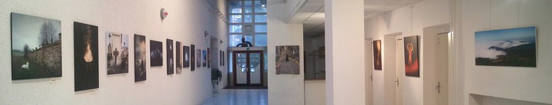 Banner profilu