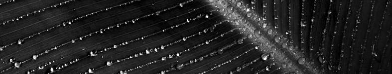 Banner profilu