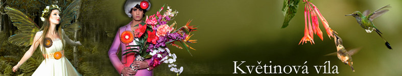 Banner profilu
