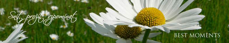 Banner profilu
