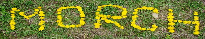 Banner profilu