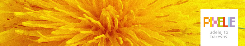 Banner profilu