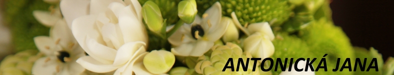 Banner profilu