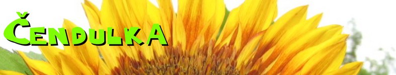 Banner profilu
