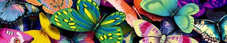 Banner profilu