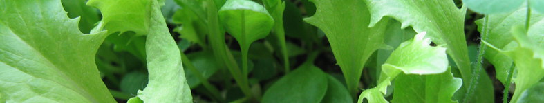 Banner profilu