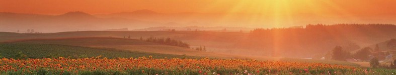 Banner profilu