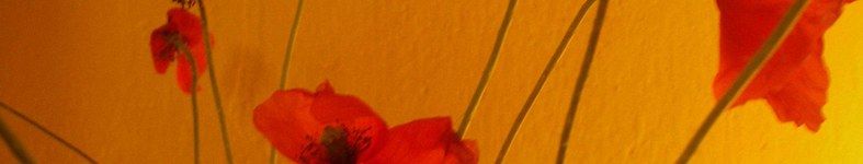Banner profilu