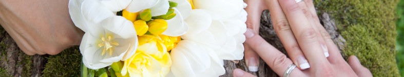 Banner profilu