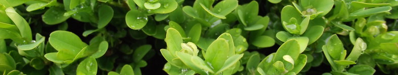 Banner profilu
