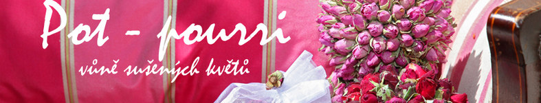Banner profilu