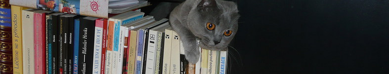 Banner profilu