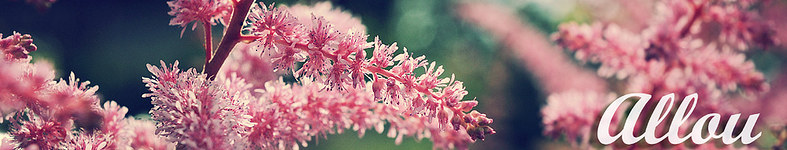 Banner profilu