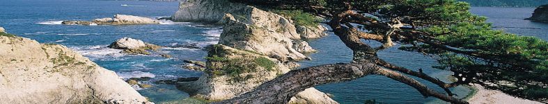 Banner profilu