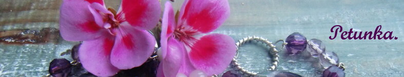 Banner profilu