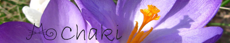 Banner profilu