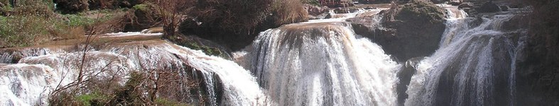 Banner profilu