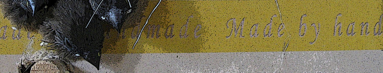 Banner profilu