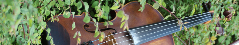 Banner profilu