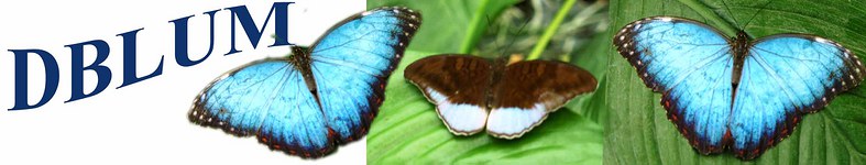 Banner profilu