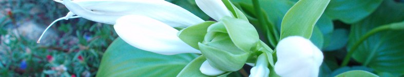 Banner profilu
