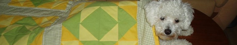 Banner profilu