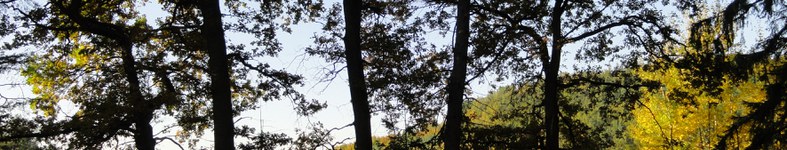 Banner profilu