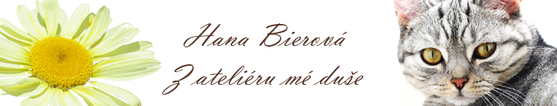 Banner profilu