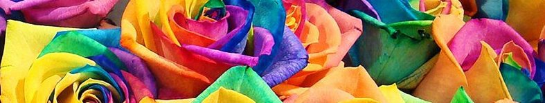 Banner profilu