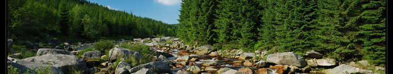 Banner profilu