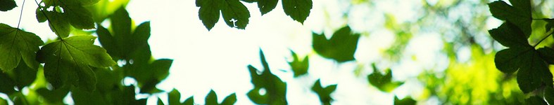 Banner profilu