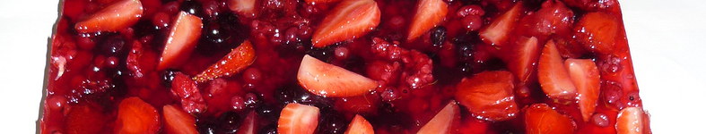 Banner profilu