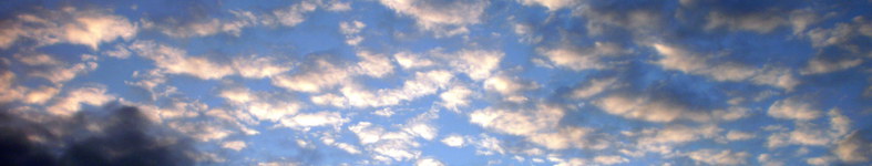 Banner profilu