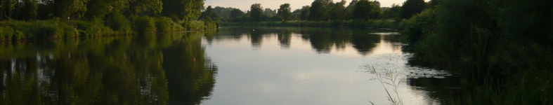 Banner profilu