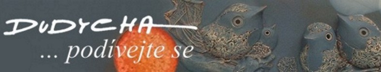 Banner profilu