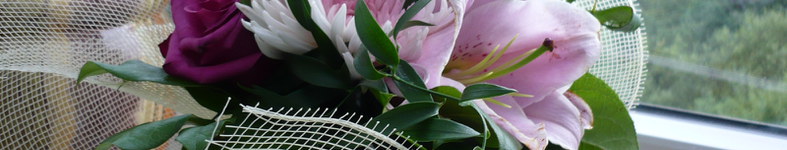 Banner profilu