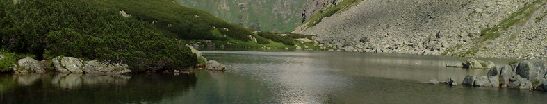 Banner profilu