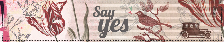 Banner profilu