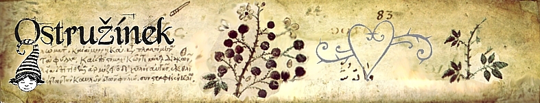 Banner profilu