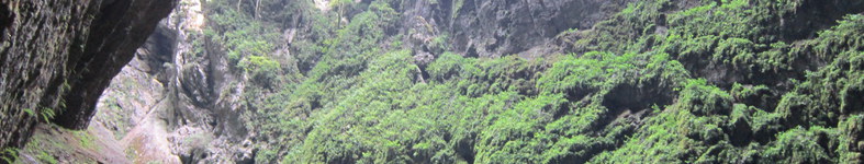Banner profilu