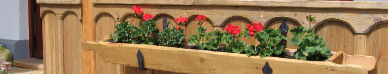 Banner profilu