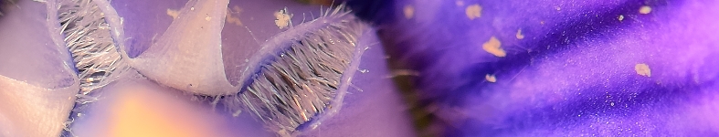 Banner profilu