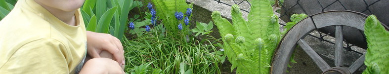 Banner profilu