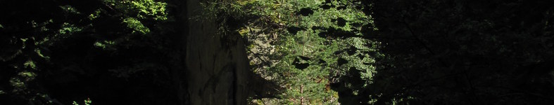Banner profilu